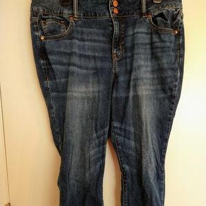 Lane Bryant Straight Leg Jeans